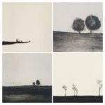 20260317 161045 collage