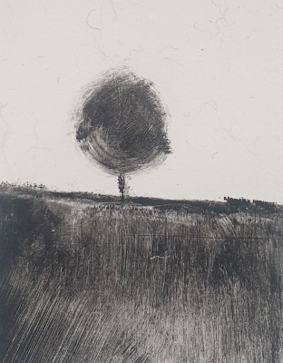 ximena de leon lucero 12