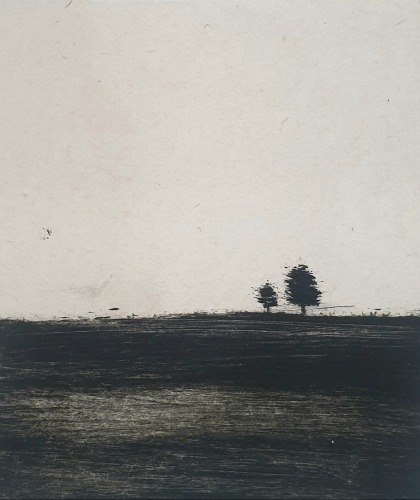 ximena de leon lucero 13