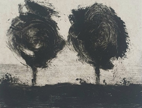 ximena de leon lucero 14