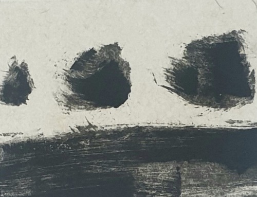 ximena de leon lucero 16