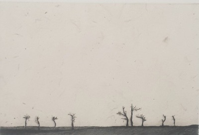 ximena de leon lucero 9