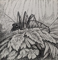 guilhem elisabeth 12