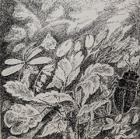 guilhem elisabeth 13