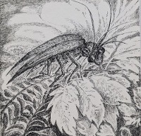 guilhem elisabeth 14