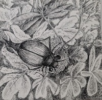 guilhem elisabeth 16