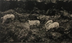 img 20251112 wa0001 (300x179)