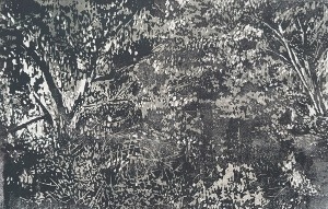 gravure sur bois (13) (1000x637) (300x191)