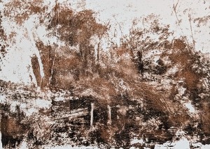 litographie (2) (1000x713) (300x214)