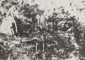 litographie (3) (1000x703) (300x211)