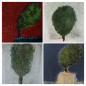 20260217 182158 collage