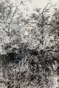 sauermann 11