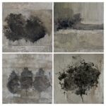 20260313 172420 collage