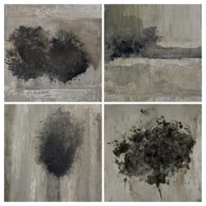 20260402 163446 collage