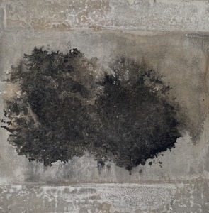 pierre bissey marion 19