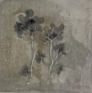 pierre bissey marion 24