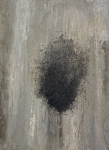 pierre bissey marion 26