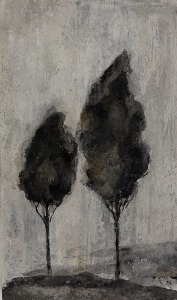 pierre bissey marion 29