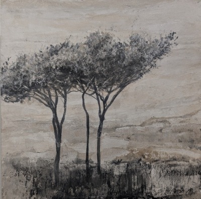 pierre bissey marion 7